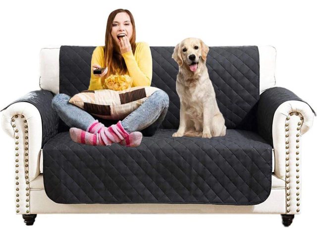Protect Your Couch: 8 Tips for Spill and Pet Proofing